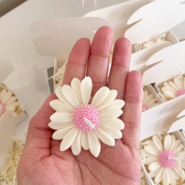 Daisy Scented Candles (Set of 5) – Pink & White | 100% Soya Wax - Free Delivery